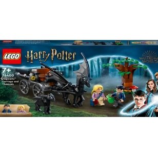 LEGO® Harry Potter™ Hogvartso™ karieta su testraliais 7m. +