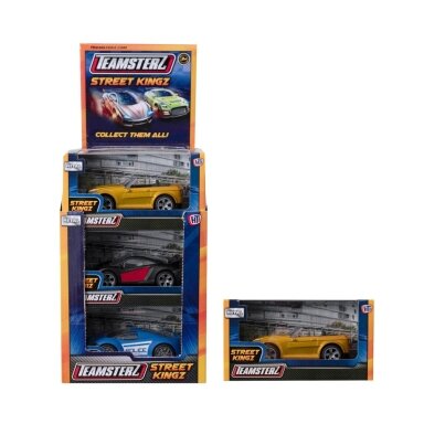 TEAMSTERZ Automobilis (+3m)